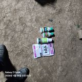 팜모닝 기타작물·영농일지 게시글 이미지