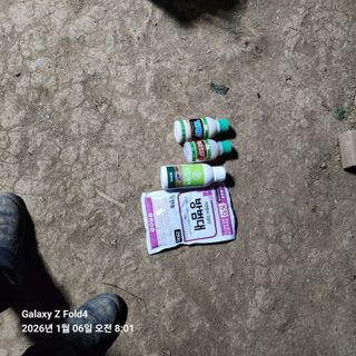 김성훈님의 기타작물 · 영농일지 작성글 사진