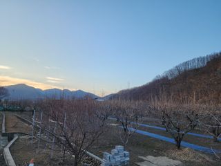 대운농원님의 기타작물 · 영농일지 작성글 사진