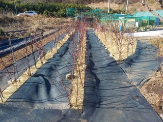 최정윤님의 작성글 사진