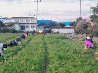 한경훈님의 기타작물 · 영농일지 작성글 사진