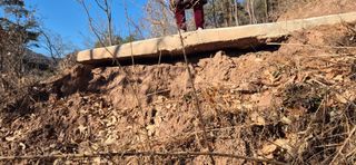 정진필님의 기타작물 · 영농일지 작성글 사진