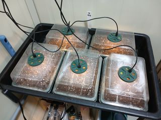 김홍중님의 기타작물 · 영농일지 작성글 사진