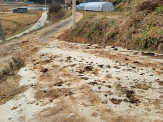 이용찬 열매마농원님의 기타작물 · 영농일지 작성글 사진