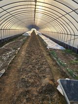 김저팔계님의 작성글 사진