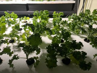 정종배님의 기타작물 · 영농일지 작성글 사진