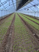 팜모닝 벼·영농일지 게시글 이미지