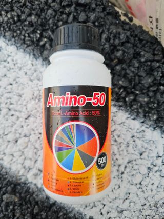 김상엽님의 딸기 · 영농일지 작성글 사진