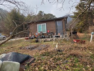 박영애님의 기타작물 · 영농일지 작성글 사진