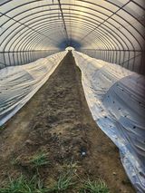 팜모닝 파·영농일지 게시글 이미지