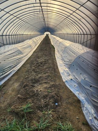 김저팔계님의 작성글 사진