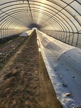 김저팔계님의 작성글 사진