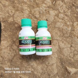 김성훈님의 기타작물 · 영농일지 작성글 사진