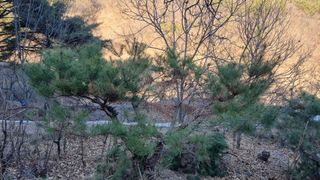 김동명님의 기타작물 · 영농일지 작성글 사진