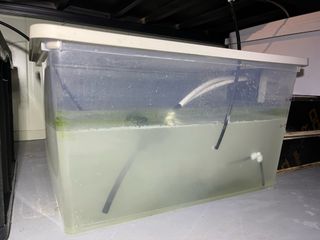 정종배님의 기타작물 · 영농일지 작성글 사진