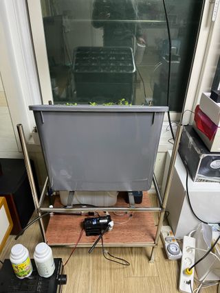 정종배님의 기타작물 · 영농일지 작성글 사진