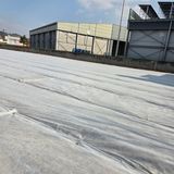 팜모닝 기타작물·영농일지 게시글 이미지