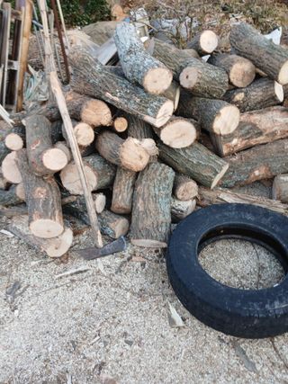 최유순님의 기타작물 · 영농일지 작성글 사진