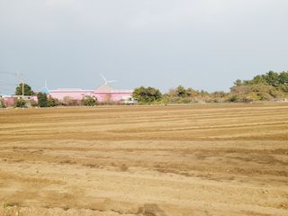 한경훈님의 파 · 영농일지 작성글 사진