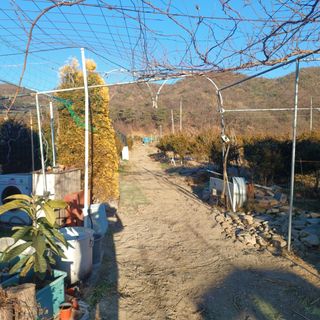 正覺님의 기타작물 · 영농일지 작성글 사진