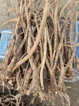 팜모닝 기타작물·영농일지 게시글 이미지