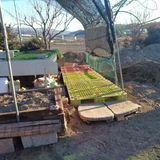 팜모닝 기타작물·영농일지 게시글 이미지