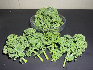 정종배님의 기타작물 · 영농일지 작성글 사진