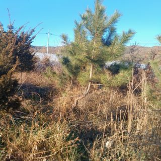 正覺님의 기타작물 · 영농일지 작성글 사진