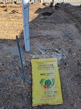 팜모닝 사과·영농일지 게시글 이미지