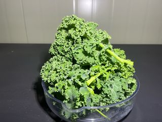 정종배님의 기타작물 · 영농일지 작성글 사진