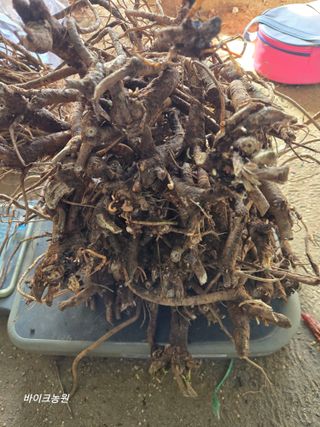 팜모닝회원 바이크농원님의 기타작물 · 영농일지 작성글 사진