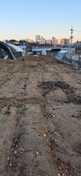 팜모닝 기타작물·영농일지 게시글 이미지