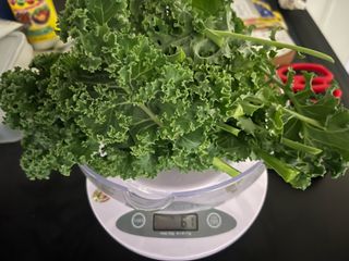 정종배님의 기타작물 · 영농일지 작성글 사진