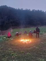 팜모닝 기타작물·영농일지 게시글 이미지