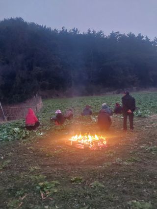 김성환님의 기타작물 · 영농일지 작성글 사진
