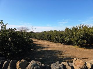 산방자연농원님의 작성글 사진