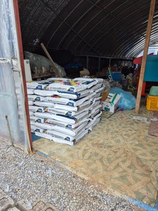 콩만세님의 콩 · 영농일지 작성글 사진