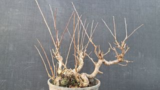 이정운님의 기타작물 · 영농일지 작성글 사진