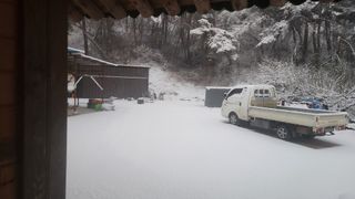 김준한님의 자두 · 영농일지 작성글 사진