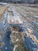 팜모닝 고추·영농일지 게시글 이미지