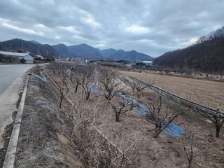 대운농원님의 기타작물 · 영농일지 작성글 사진