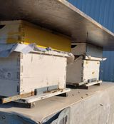 팜모닝 기타작물·영농일지 게시글 이미지