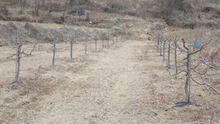 남상호 님의 기타작물 · 영농일지 작성글 사진