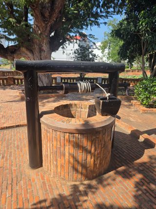 최동수님의 기타작물 · 영농일지 작성글 사진