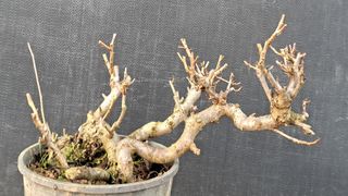 이정운님의 기타작물 · 영농일지 작성글 사진