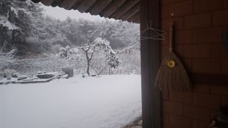 김준한님의 작성글 사진