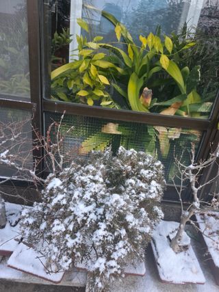 정정치님의 기타작물 · 영농일지 작성글 사진