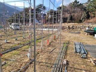 날씨가 흐려 방제가님의 사과 · 영농일지 작성글 사진