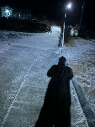 이익수님의 기타작물 · 영농일지 작성글 사진