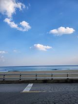 팜모닝 기타작물·영농일지 게시글 이미지